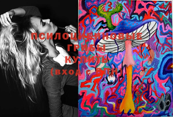 ГАЛЛЮЦИНОГЕННЫЕ ГРИБЫ Янаул