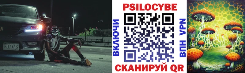 Купить закладки  Нурлат  Галлюциногенные грибы Cubensis 